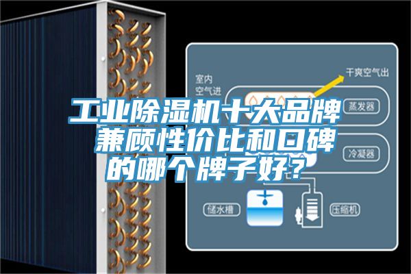 工業除濕機十大品牌 兼顧性價比和口碑的哪個牌子好？