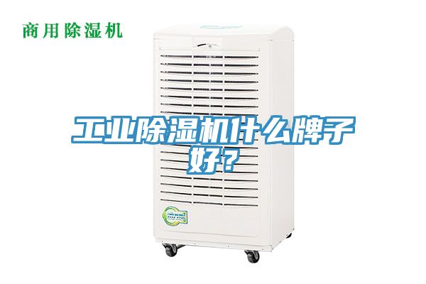 工業除濕機什么牌子好？