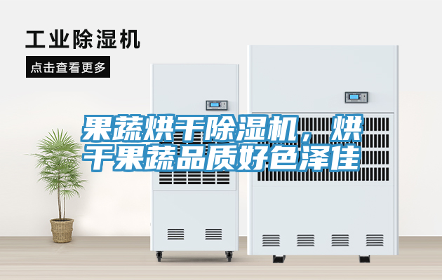 果蔬烘干除濕機(jī)，烘干果蔬品質(zhì)好色澤佳