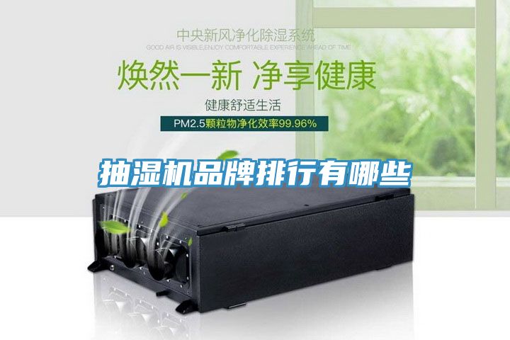 抽濕機品牌排行有哪些