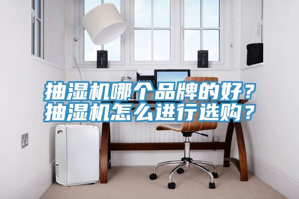抽濕機哪個品牌的好？抽濕機怎么進行選購？