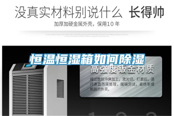 恒溫恒濕箱如何除濕