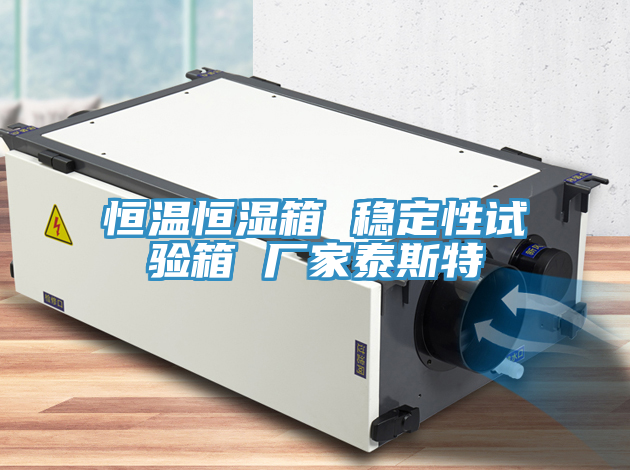 恒溫恒濕箱 穩定性試驗箱 廠家泰斯特