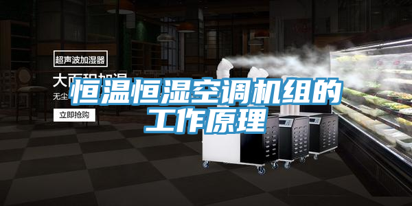 恒溫恒濕空調(diào)機(jī)組的工作原理