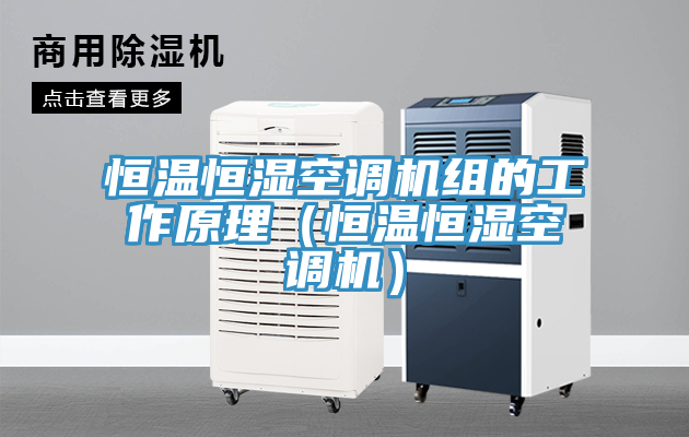 恒溫恒濕空調(diào)機(jī)組的工作原理（恒溫恒濕空調(diào)機(jī)）