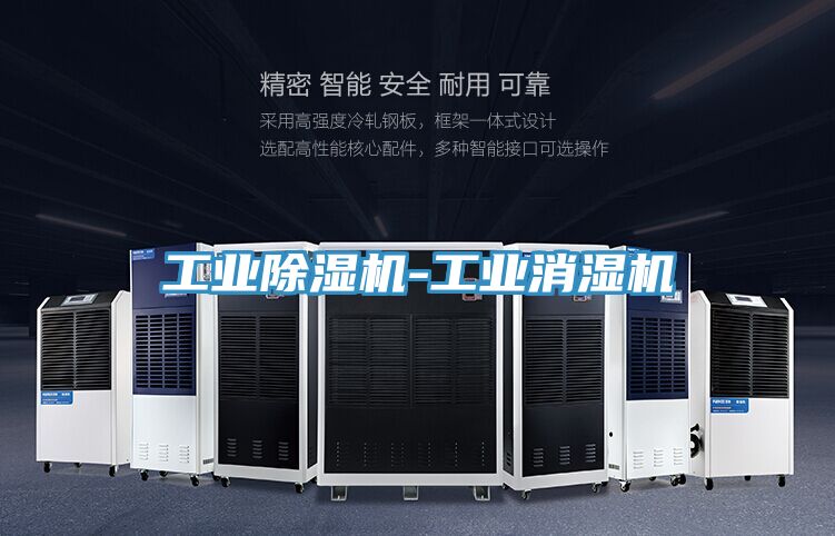工業除濕機-工業消濕機