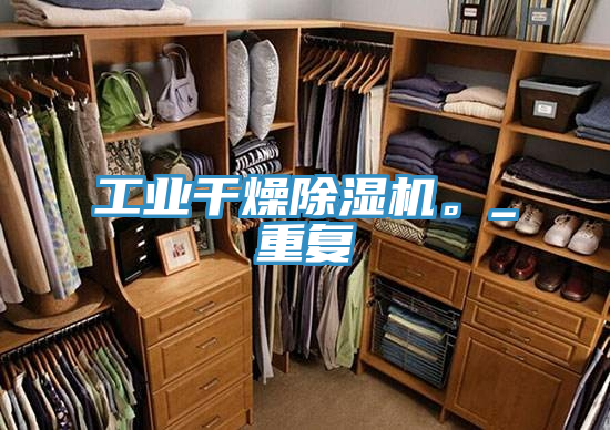 工業(yè)干燥除濕機(jī)。_重復(fù)