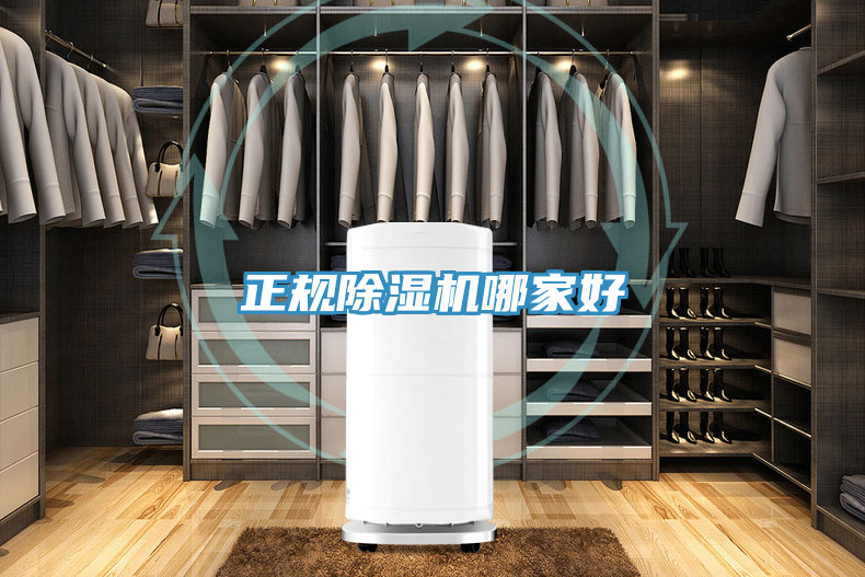正規除濕機哪家好
