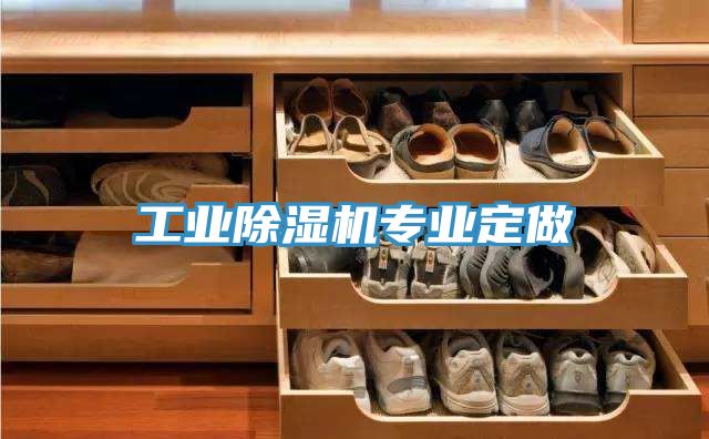工業除濕機專業定做