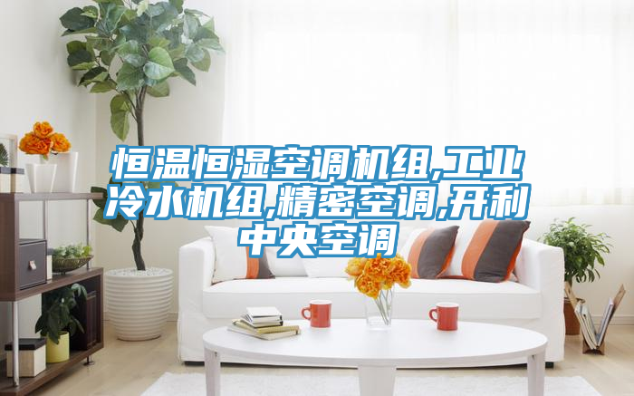 恒溫恒濕空調(diào)機組,工業(yè)冷水機組,精密空調(diào),開利中央空調(diào)