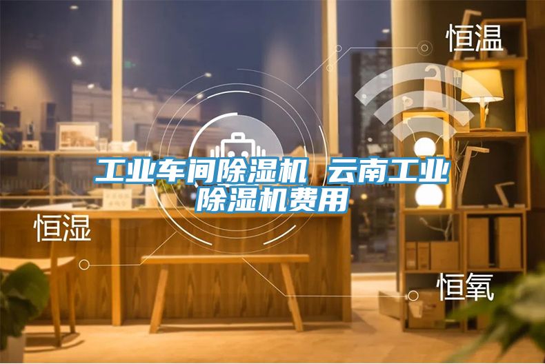 工業車間除濕機 云南工業除濕機費用
