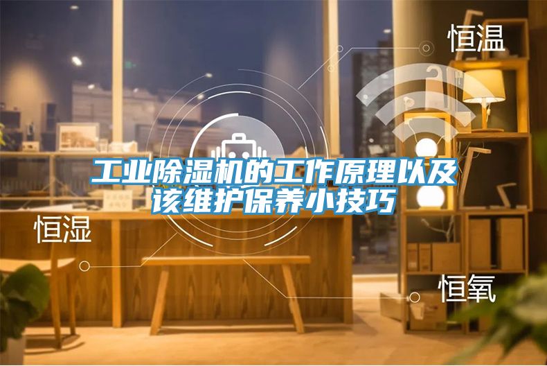 工業除濕機的工作原理以及該維護保養小技巧