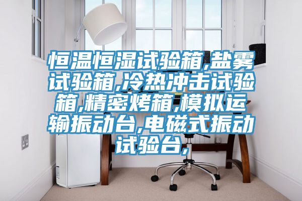 恒溫恒濕試驗箱,鹽霧試驗箱,冷熱沖擊試驗箱,精密烤箱,模擬運輸振動臺,電磁式振動試驗臺,