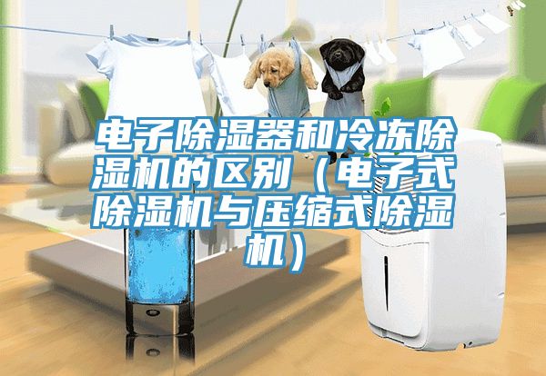電子除濕器和冷凍除濕機的區別（電子式除濕機與壓縮式除濕機）