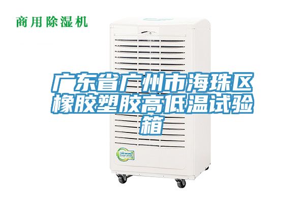 廣東省廣州市海珠區橡膠塑膠高低溫試驗箱