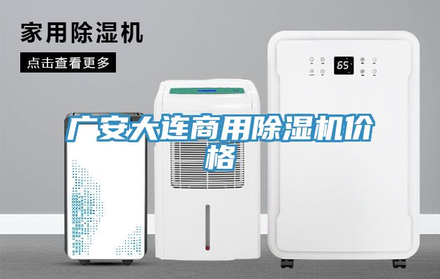 廣安大連商用除濕機價格