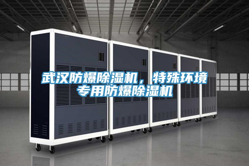 武漢防爆除濕機，特殊環境專用防爆除濕機