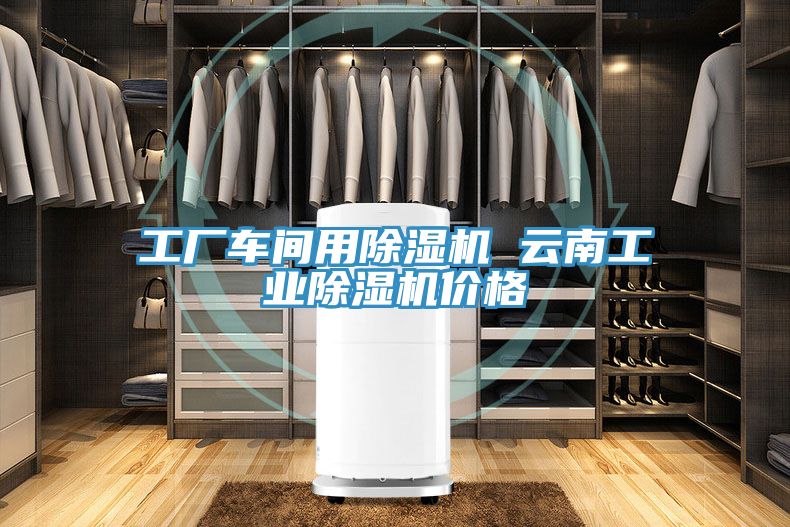 工廠車間用除濕機 云南工業除濕機價格