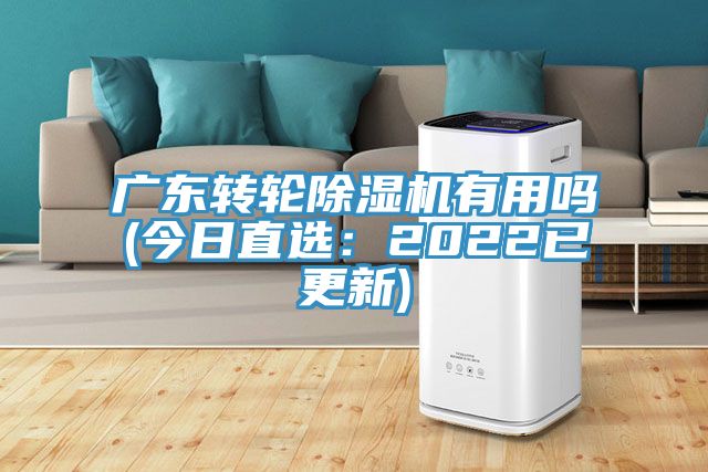 廣東轉輪除濕機有用嗎(今日直選：2022已更新)