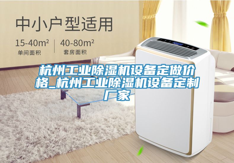 杭州工業除濕機設備定做價格_杭州工業除濕機設備定制廠家