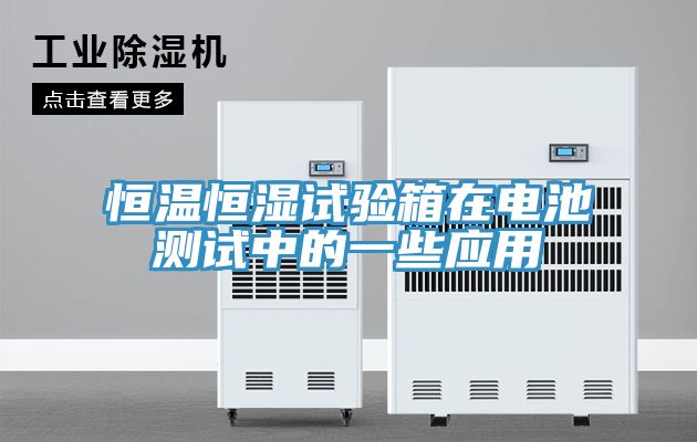 恒溫恒濕試驗(yàn)箱在電池測試中的一些應(yīng)用