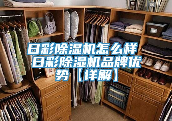 日彩除濕機(jī)怎么樣 日彩除濕機(jī)品牌優(yōu)勢(shì)【詳解】