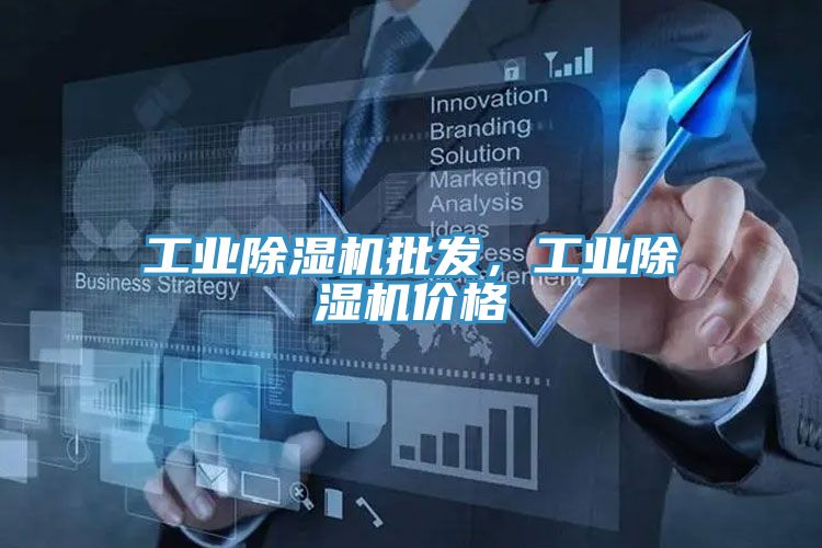 工業(yè)除濕機(jī)批發(fā)，工業(yè)除濕機(jī)價(jià)格