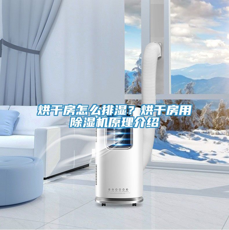 烘干房怎么排濕？烘干房用除濕機(jī)原理介紹
