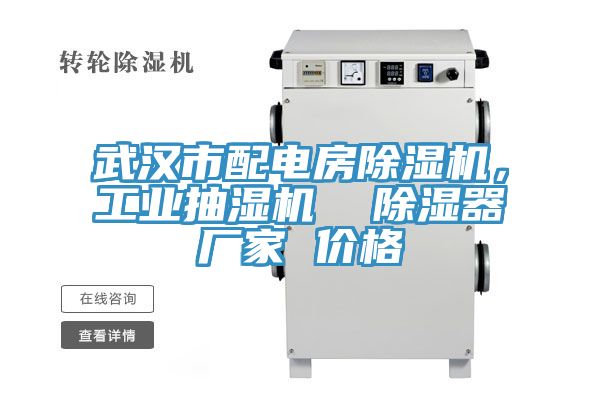 武漢市配電房除濕機(jī)，工業(yè)抽濕機(jī)  除濕器廠家 價(jià)格
