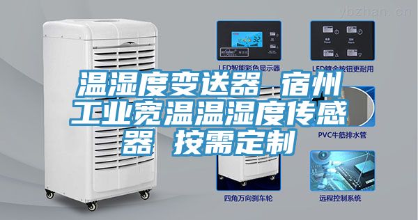 溫濕度變送器 宿州工業寬溫溫濕度傳感器 按需定制