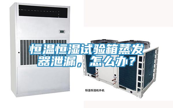 恒溫恒濕試驗箱蒸發器泄漏，怎么辦？