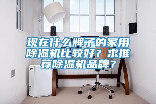 現在什么牌子的家用除濕機比較好？求推薦除濕機品牌？
