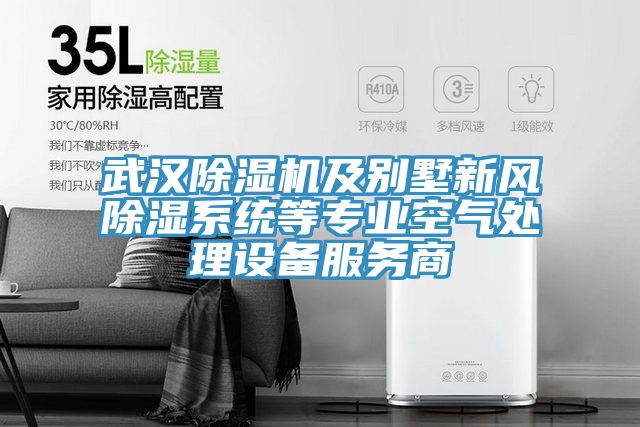 武漢除濕機及別墅新風除濕系統等專業空氣處理設備服務商
