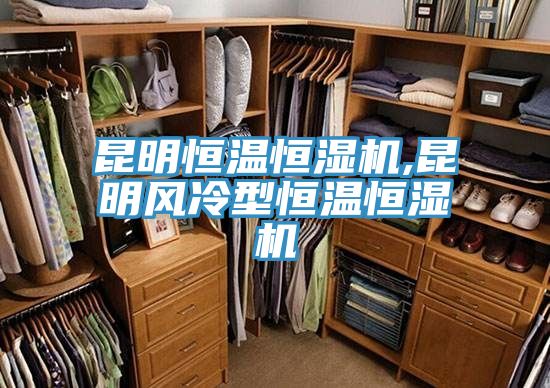 昆明恒溫恒濕機,昆明風(fēng)冷型恒溫恒濕機