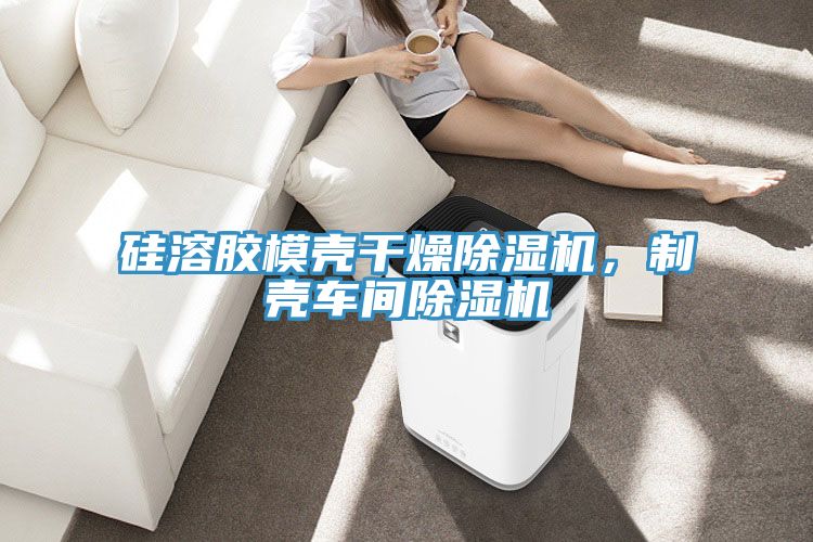 硅溶膠模殼干燥除濕機(jī)，制殼車間除濕機(jī)