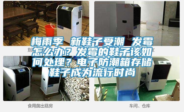 梅雨季 新鞋子受潮 發(fā)霉怎么辦？發(fā)霉的鞋子該如何處理？電子防潮箱存儲(chǔ)鞋子成為流行時(shí)尚