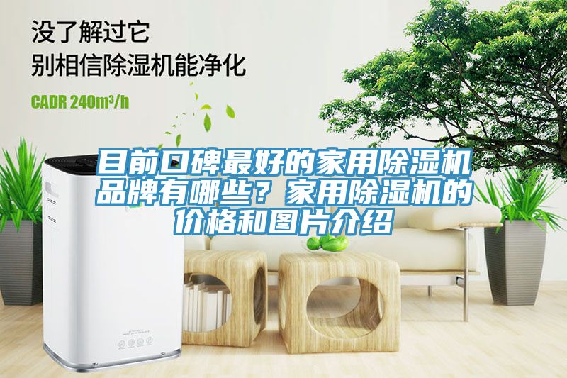 目前口碑最好的家用除濕機品牌有哪些？家用除濕機的價格和圖片介紹