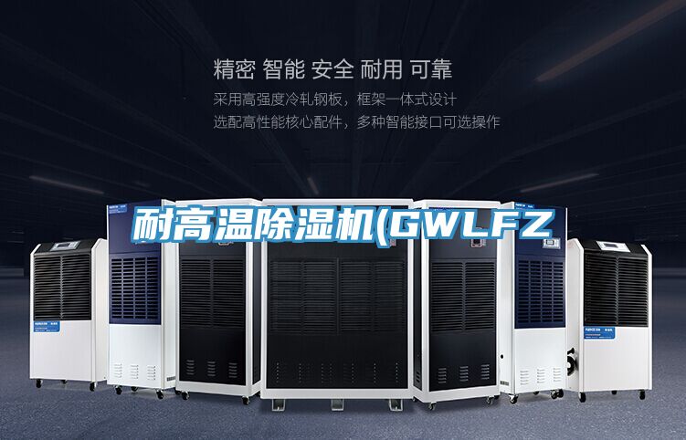 耐高溫除濕機(jī)(GWLFZ