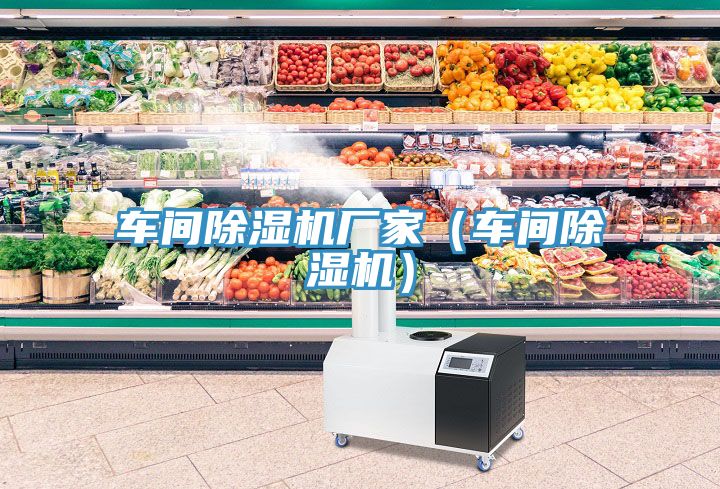 車間除濕機廠家(車間除濕機)