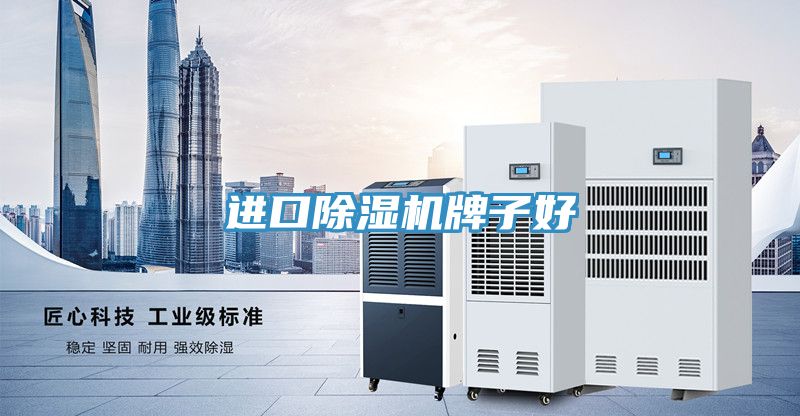 進(jìn)口除濕機(jī)牌子好