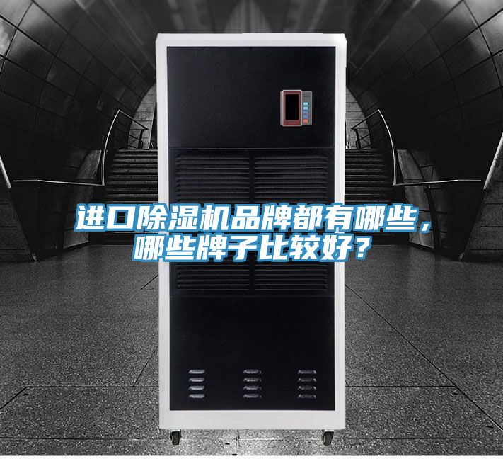 進口除濕機品牌都有哪些,哪些牌子比較好?