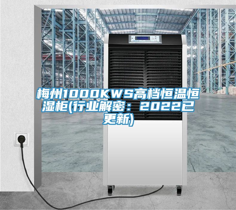 梅州1000KWS高檔恒溫恒濕柜(行業解密：2022已更新)