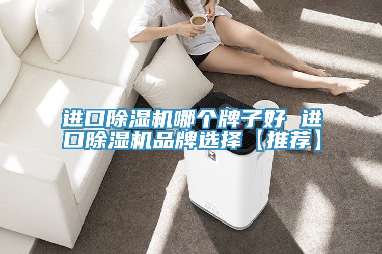 進口除濕機哪個牌子好 進口除濕機品牌選擇【推薦】