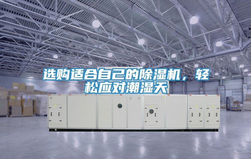 選購適合自己的除濕機，輕松應對潮濕天