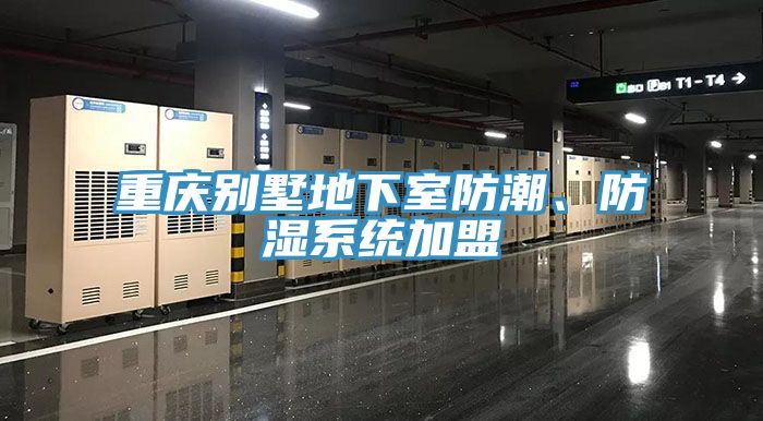 重慶別墅地下室防潮、防濕系統加盟