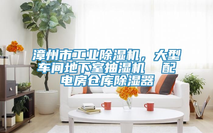 漳州市工業除濕機,大型車間地下室抽濕機 配電房倉庫除濕器