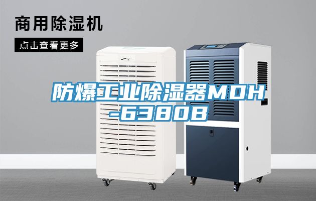 防爆工業除濕器MDH-6380B