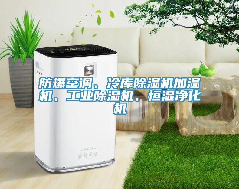防爆空調(diào)、冷庫除濕機(jī)加濕機(jī)、工業(yè)除濕機(jī)、恒濕凈化機(jī)