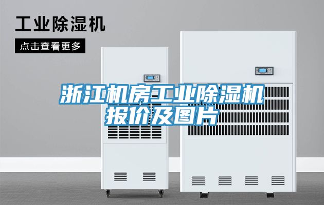 浙江機房工業除濕機報價及圖片