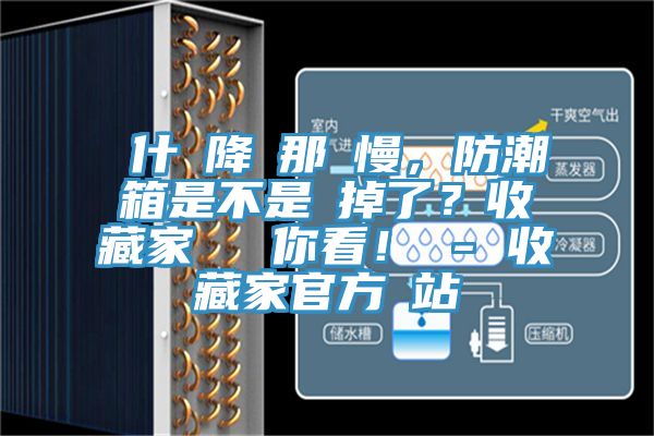 為什麼降濕那麼慢,防潮箱是不是壞掉了?收藏家實測給你看! - 收藏家官方網站